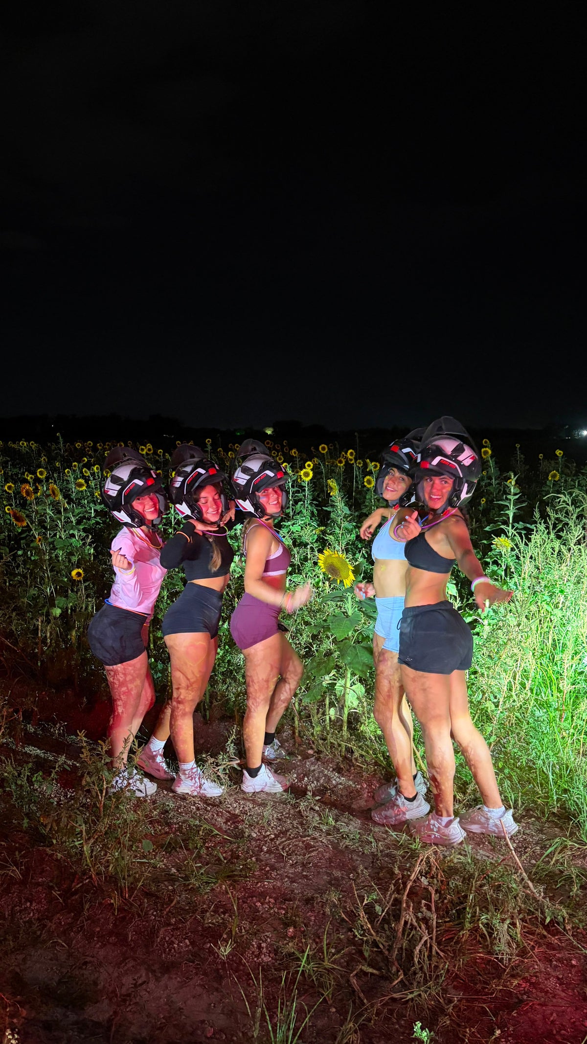 Campos de Girasoles en Miami: El Spot Perfecto para Fotos Increíbles que Todos Están Buscando